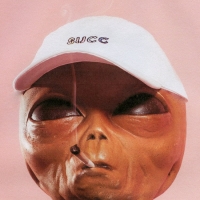 F1lcek