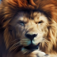 Royalko